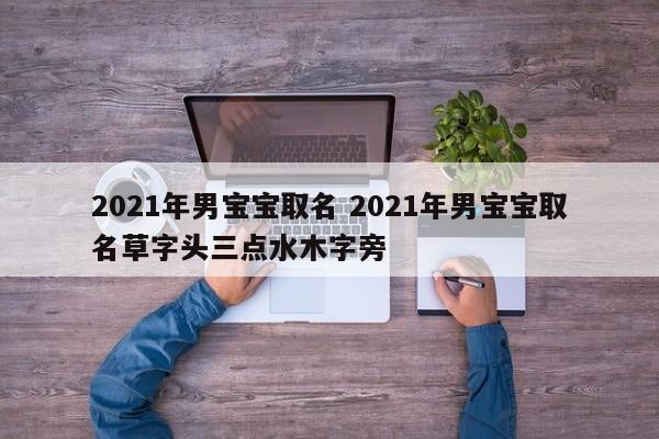 2021年男宝宝取名 2021年男宝宝取名草字头三点水木字旁