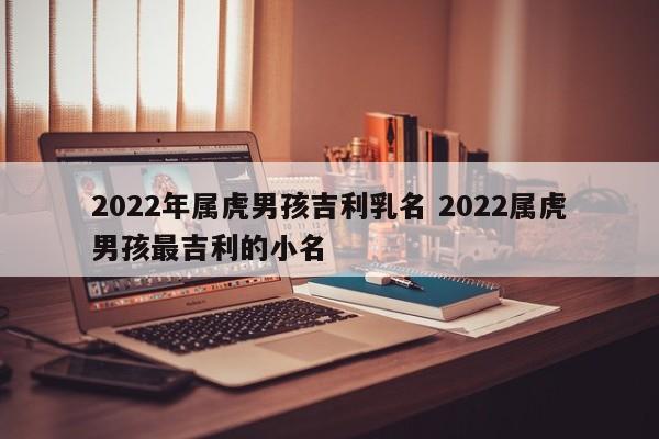 2022年属虎男孩吉利乳名 2022属虎男孩最吉利的小名