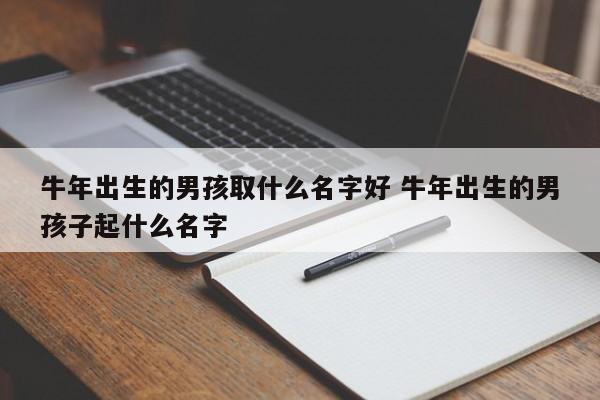 牛年出生的男孩取什么名字好 牛年出生的男孩子起什么名字