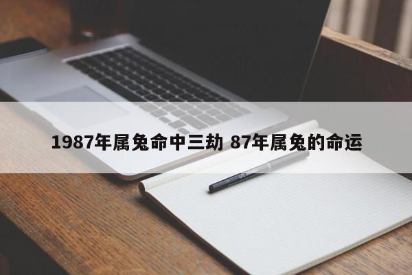 1987年属兔命中三劫 87年属兔的命运