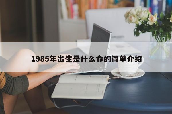 1985年出生是什么命的简单介绍